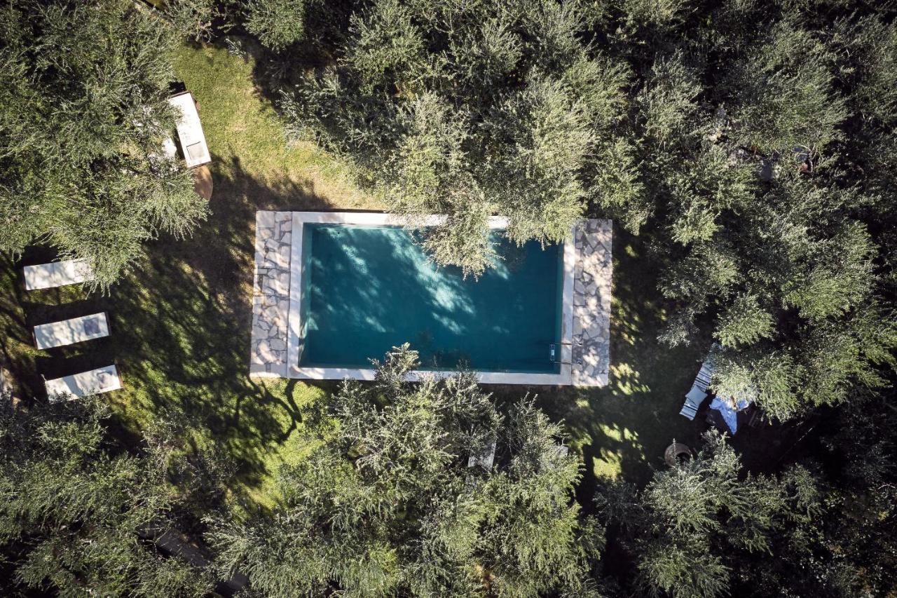 Lithakia  Vafias Villa - Tranquil Location, Ideal For Large Groups, By Zantewize מראה חיצוני תמונה