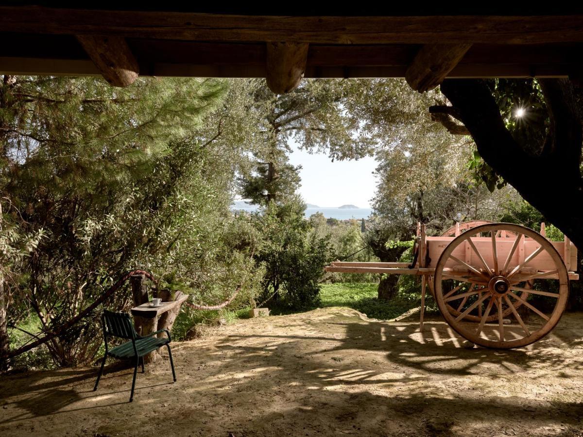 Lithakia  Vafias Villa - Tranquil Location, Ideal For Large Groups, By Zantewize מראה חיצוני תמונה